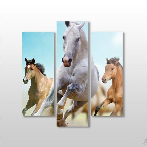 3 PARÇALI KANVAS TABLO